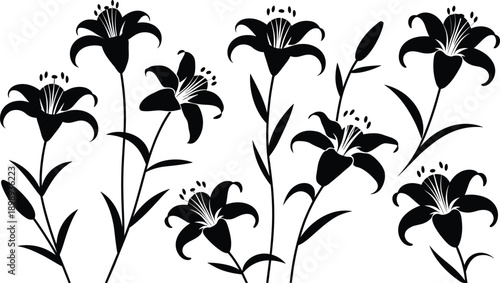 Group of black lily flower silhouettes highlighting their forms and stamen details against a pure white background botanical