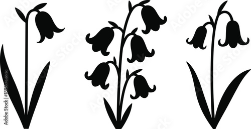 Black silhouette of three bluebell flower stems with bell-shaped blossoms and leaves