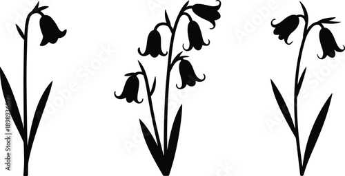 Black silhouette of three bluebell flower stems with bell-shaped blossoms and leaves