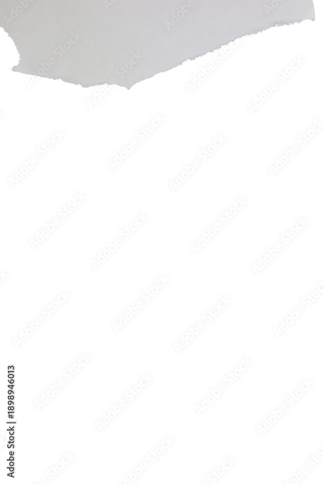 Obraz premium Torn White Paper Texture with Transparent Background