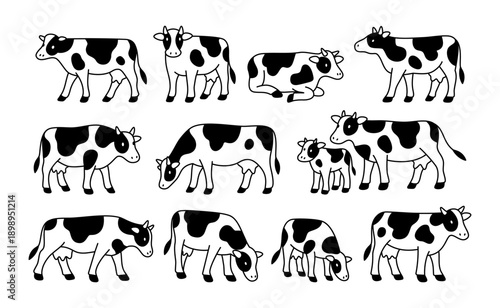 Set of minimalist cows in different poses. Collection for agriculture, dairy, and educational uses