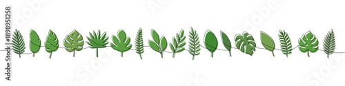 Minimalist green continuous line art of assorted tropical leaves. Modern botanical contour for interior and graphic design