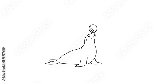 A seal playing with a ball