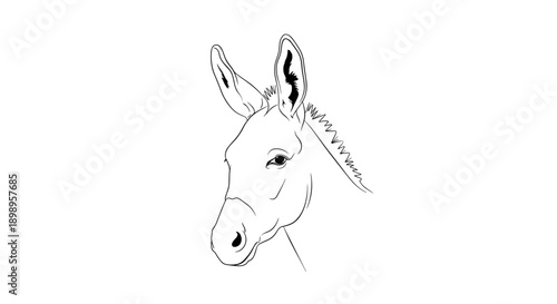A black and white line drawing of a donkeys head in profile