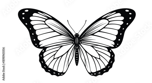 Elegant black and white monarch butterfly illustration with detailed wing patterns isolated on a plain white background.