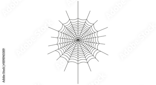 Perfectly symmetrical spider web illustration with fine silk threads extending from a central point to the outer edges.