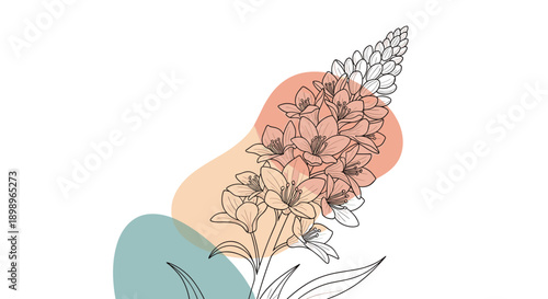 Elegant line drawing of a lupine flower spike accented with abstract orange and teal organic shapes on a clean white background.