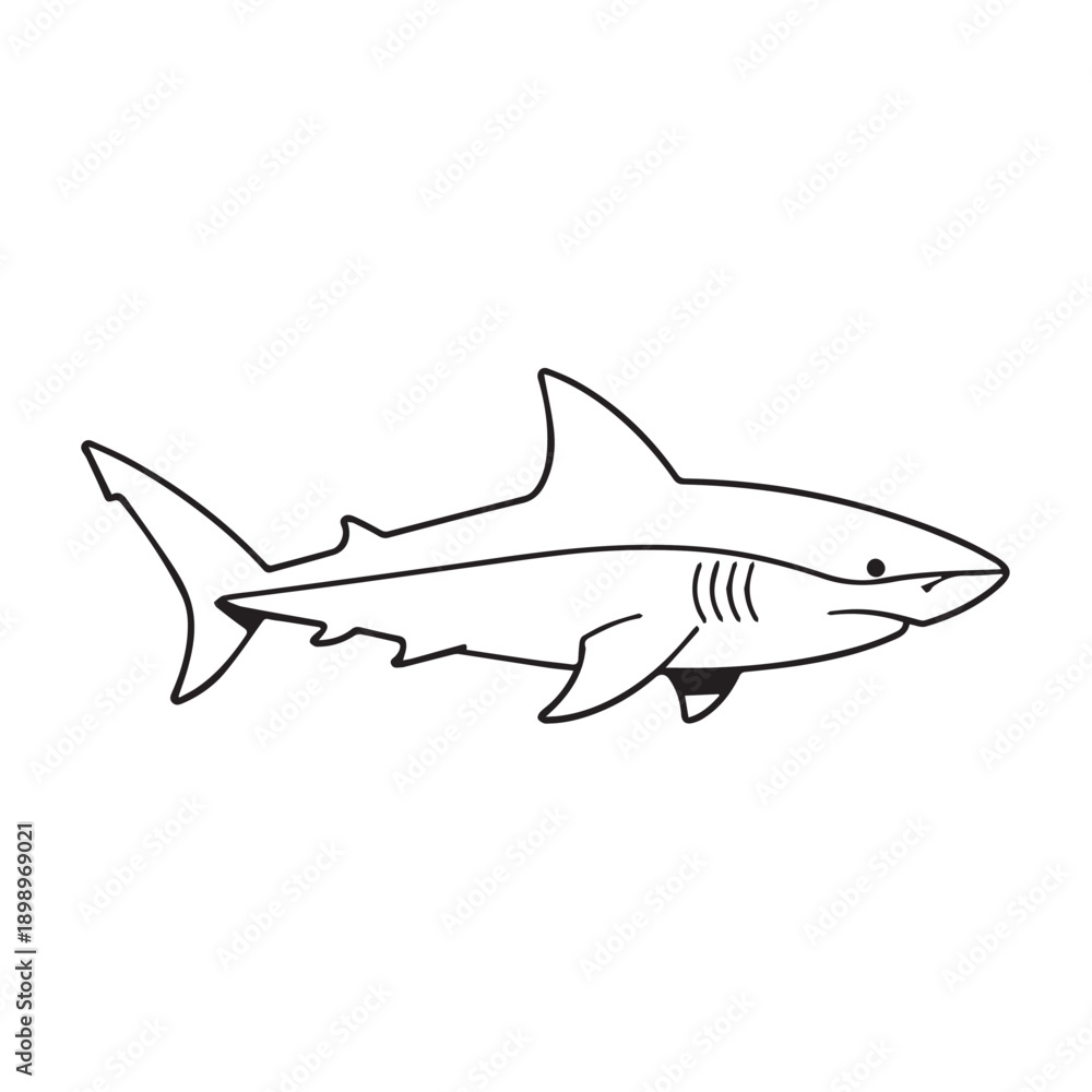 Fototapeta premium Minimal line drawing of a shark swimming in open water.