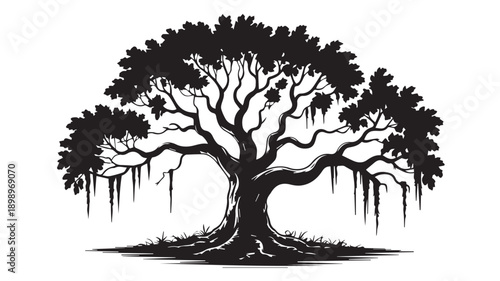 Majestic Black and White Silhouette Illustration of a Resilient Old Tree with Spreading Roots and Hanging Branches
