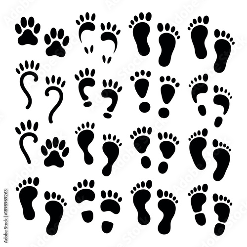 Collection of various footprint and pawprint icons in black