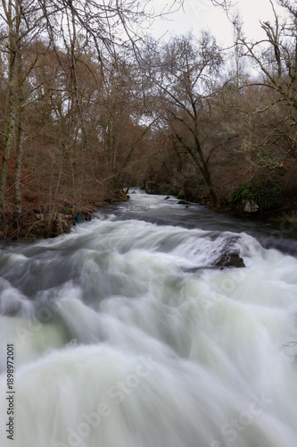 Río de bosque con agua en movimiento y efecto seda en invierno
