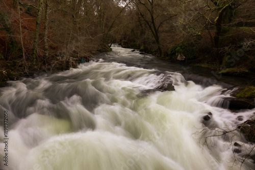 Río de montaña con agua en movimiento y efecto seda en bosque natural