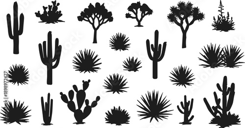 Desert plant silhouette set, cactus and shrub icons, arid flora shapes, botanical nature elements, black illustration collection, isolated flat vector
