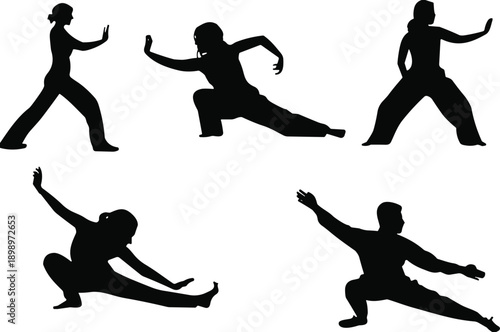 Martial arts silhouette set, dynamic fighting poses, kung fu stances, self defense movements, black combat figure illustration, isolated flat vector