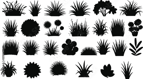 Plant silhouette collection, botanical foliage icons, garden shrub shapes, nature greenery elements, black isolated vegetation design set, decorative flat vector