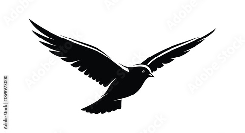 A black silhouette of a bird with wings outstretched in flight