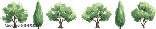 Green trees collection with deciduous and cypress, flat vector illustrations for landscape design, park scenes, and nature graphics