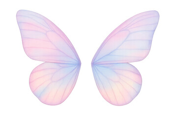 Delicate pastel fairy wings on transparent background