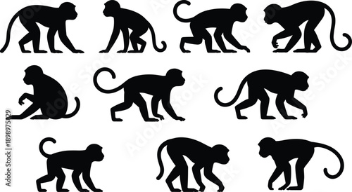 Monkey silhouette pose collection featuring walking sitting and crawling primates for wildlife icons logos illustrations vector set design