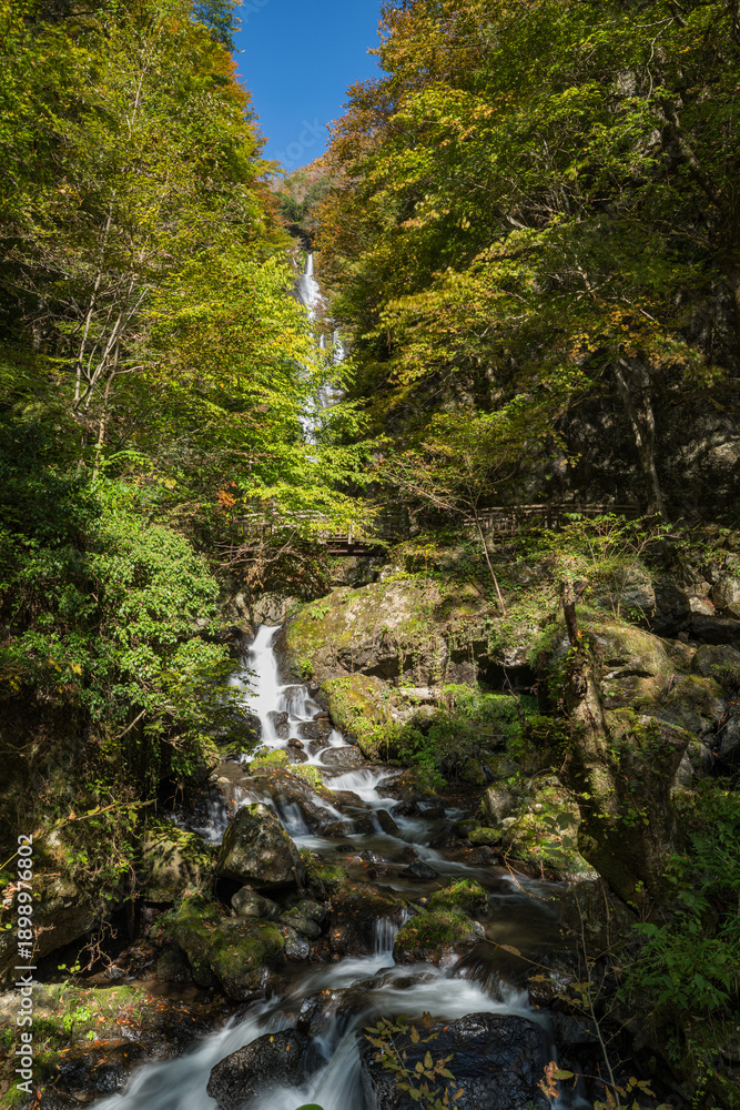 Obraz premium 日本 岡山県真庭市にある神庭の滝自然公園内の紅葉と神庭の滝