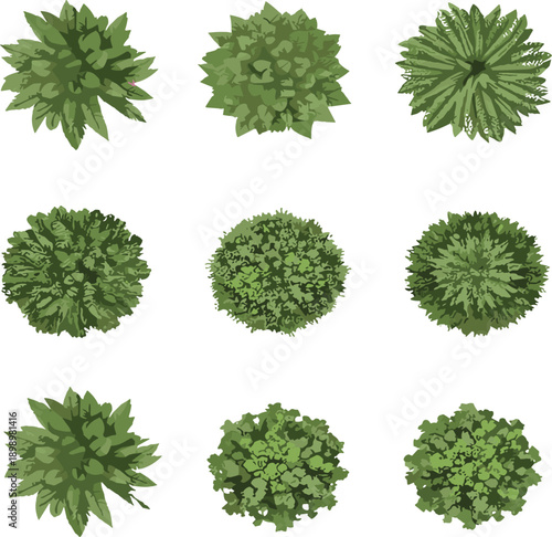 Top view green bushes and shrubs collection, flat vector illustrations of garden plants for landscape design and map elements