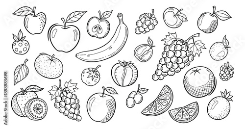 Hand drawn line art fruit set featuring apples, bananas, grapes, oranges, strawberries and plums for healthy eating and design