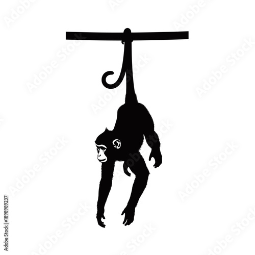 A black silhouette of a monkey hanging upside down from a horizontal bar.