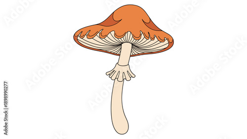 Detailed illustration of single orange mushroom with gills visible under cap and textured stem for nature related design.