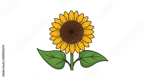 Vibrant yellow sunflower with green leaves isolated on white background. Flat vector illustration of a blooming sunflower, symbol of summer, nature, and happiness.