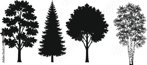 Set of black tree silhouettes isolated on white background featuring evergreen and deciduous forest trees, botanical nature elements for graphic design, illustration, branding, and stock projects