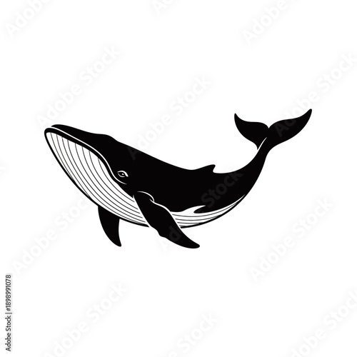 Stylized black and white graphic illustration of a large whale swimming, featuring detailed lines on its underbelly.