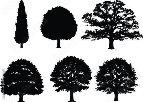 Set of realistic black tree silhouettes including cypress, round canopy, and oak shapes, detailed vector illustration for nature, landscape, eco design, branding, logo, and decoration projects