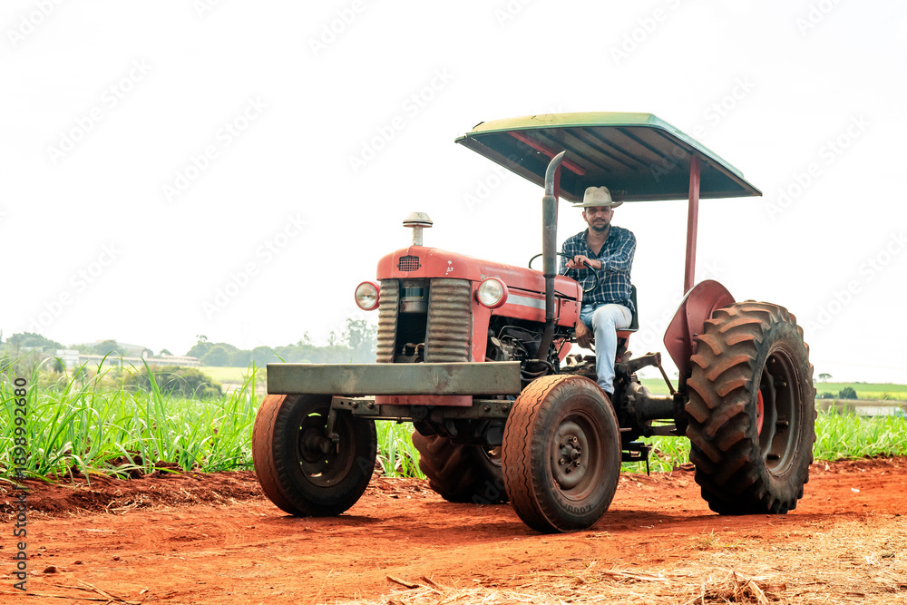 Obraz premium Farmer driving a red vintage tractor on a dirt road through a rural plantation field