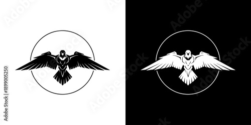 Black and white bird silhouettes with spread wings in circular frames on contrasting