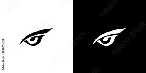 Close-up of two stylized eyes with contrasting black and white backgrounds.