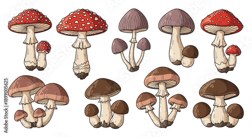 A collection of various cartoon-style mushrooms with different cap colors and shapes, including red spotted and brown varieties.