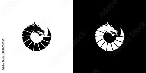 Black and white yin yang dragon symbols on contrasting backgrounds.