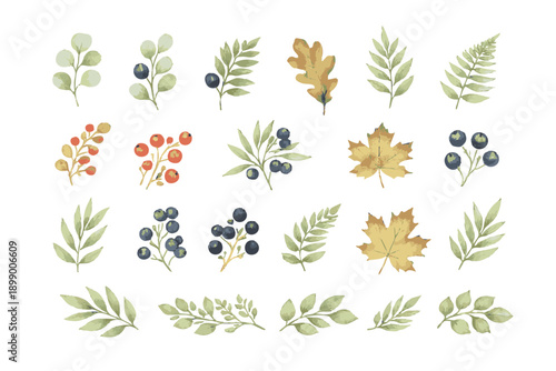 Watercolor Botanical Leaves and Berries Clipart Set
