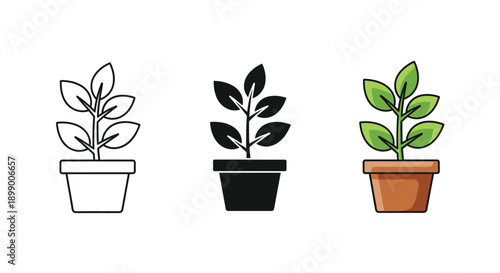 Collection of three potted plant icons showing outline solid and color variations for versatile design use