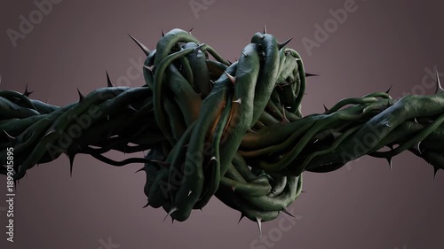 Thorny Vines Knot Growing and Pulsing Against Dark Background