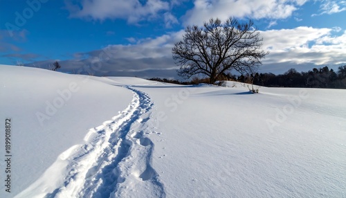 Wallpaper Mural A snow-covered field with a trail of footprints leading towards a bare tree against a blue sky with fluffy clouds Torontodigital.ca