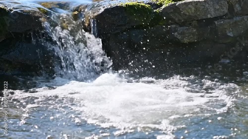 Wallpaper Mural Close-up of a small waterfall cascading over mossy rocks in clear water Torontodigital.ca