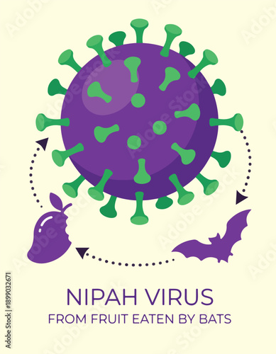 Nipah Virus Transmission Cycle Illustration with Bat Fruit and Viral Cell