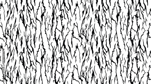 Seamless Silk tree bark pattern texture, black and white abstract background for your design.