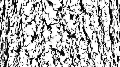 Sitka spruce bark texture, detailed pattern for abstract and background use