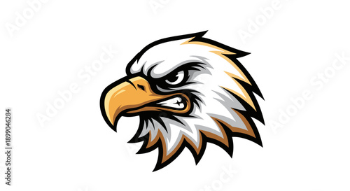 Illustration of Eagle Head Profile View.