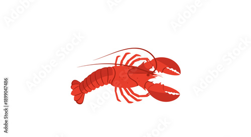 Red Lobster Illustration on White Background.