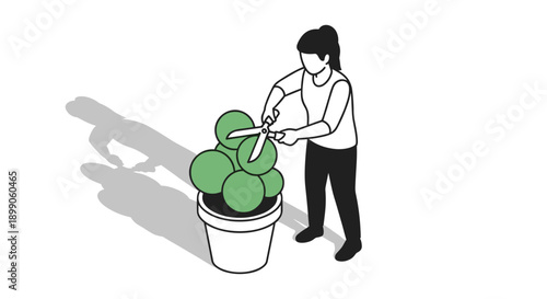Woman Watering Green Potted Houseplant.