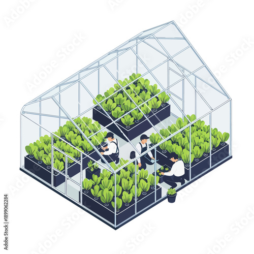 Indoor Greenhouse with People Working.