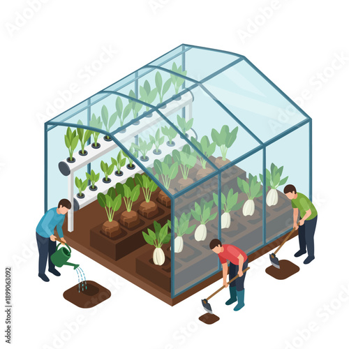 People Working Inside Greenhouse with Plants.